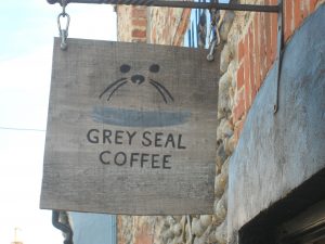 grey seal blakeney